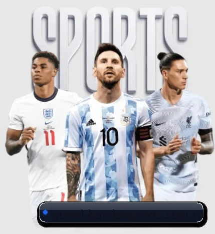 半岛体育网站的方向 - BandaoSports