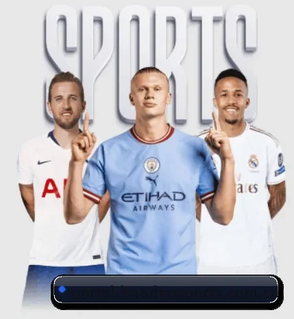 半岛体育网站的方向 - BandaoSports